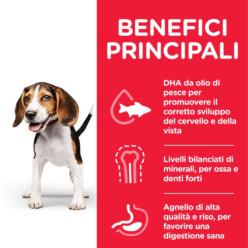 Zooplus Hill's Science Plan Puppy <1 Medium con Agnello e Riso Saldi Di Fabbrica