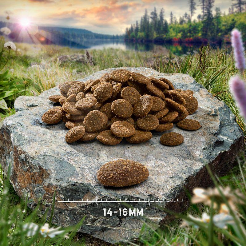 Zooplus Prezzo speciale 12 kg Purizon Crocchette per cani Consegna Veloce