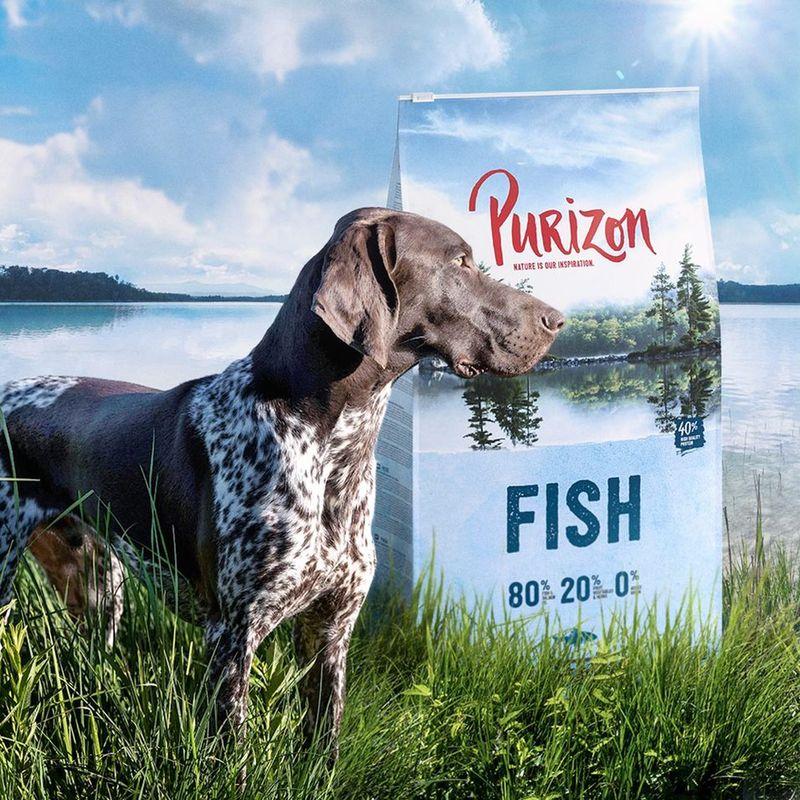Zooplus Purizon Adult Pesce Crocchette senza cereali per cane Fino Al -60%