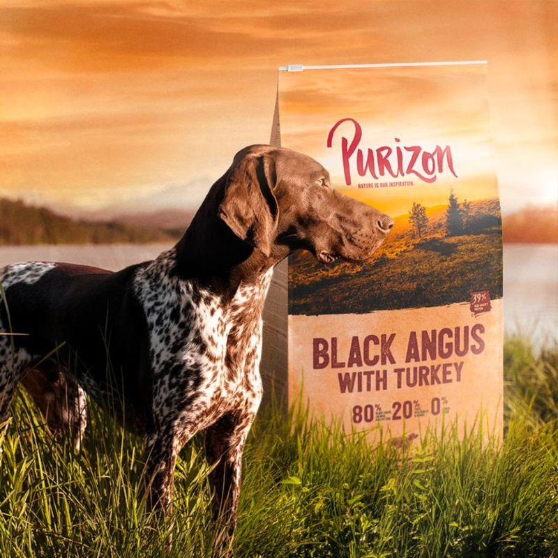 Zooplus Purizon Adult Black-Angus con Tacchino Crocchette senza cereali per cane Shopping Online