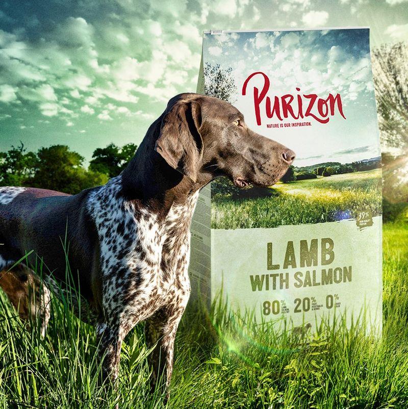 Zooplus Purizon Adult Agnello con Salmone Crocchette senza cereali per cane Convenienza
