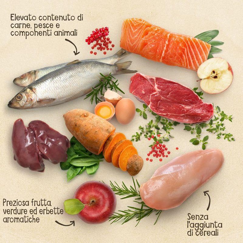 Zooplus Set prova 2 x 1 kg Purizon Crocchette per cani Online