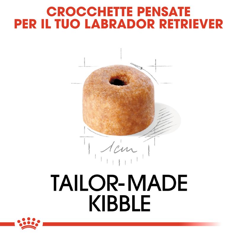 Zooplus Royal Canin Labrador Retriever Puppy Crocchette per cane Vendita Economica