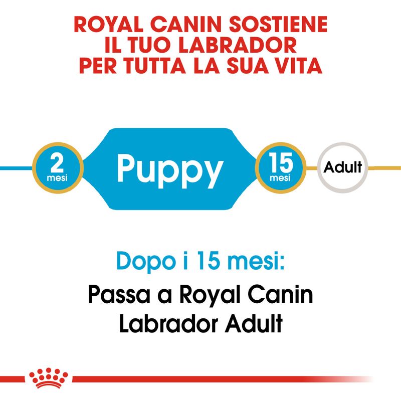 Zooplus Royal Canin Labrador Retriever Puppy Crocchette per cane Vendita Economica