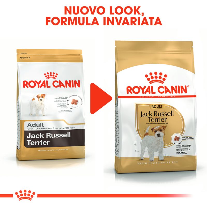 Zooplus Royal Canin Jack Russell Terrier Adult Crocchette per cane Saldi Di Fabbrica
