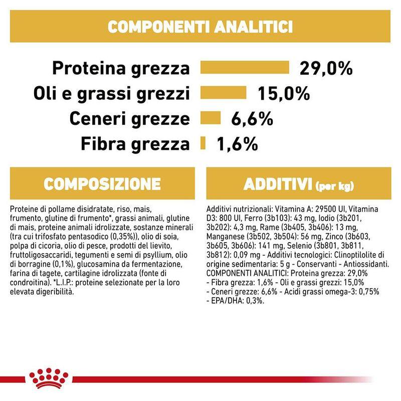 Zooplus Royal Canin Bichon Frise Adult Crocchette per cane Vendite Flash