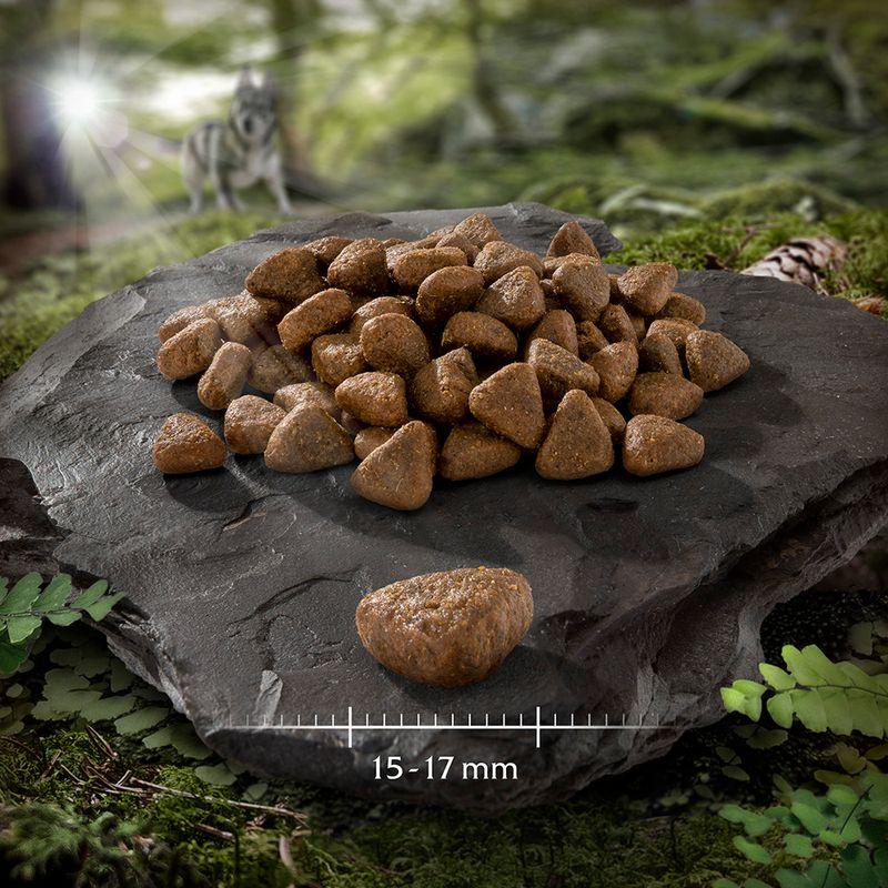Zooplus Agnello Crocchette per cani Promozione
