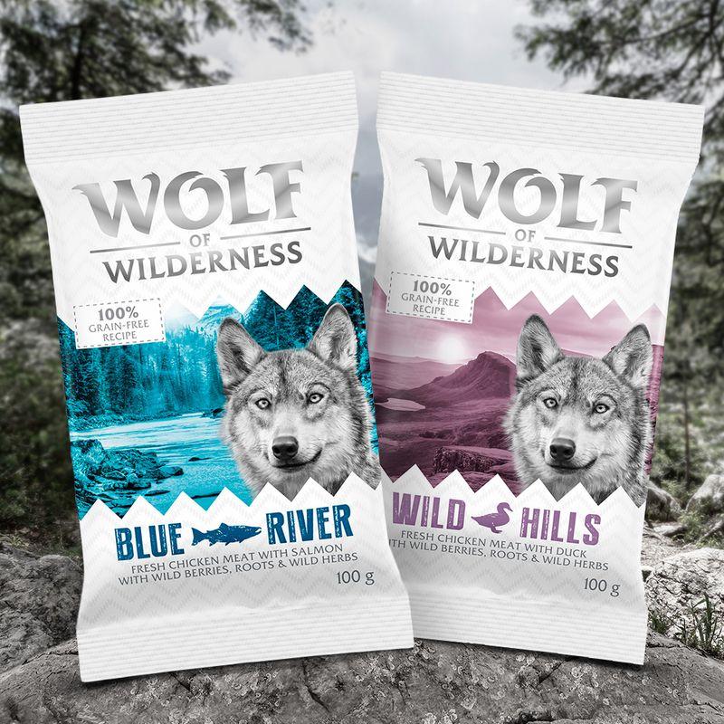 Zooplus Confezione prova Wolf of Wilderness Adult 100 g Crocchette per cane