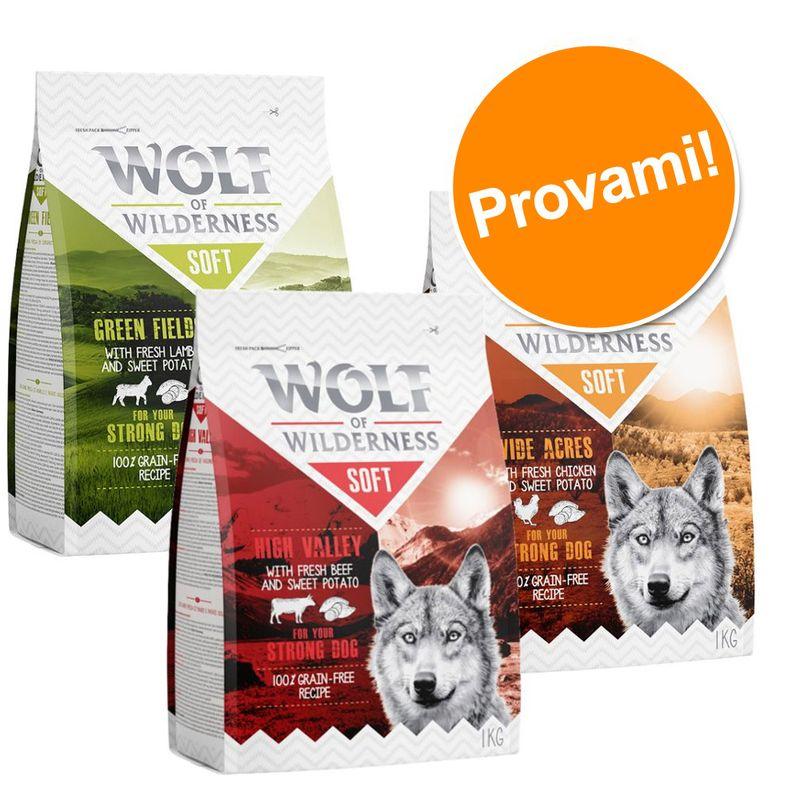 Zooplus Set prova misto 3 x 1 kg Wolf of Wilderness Soft Crocchette per cani
