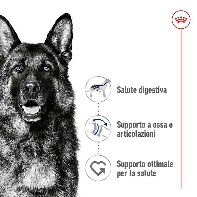 Zooplus Royal Canin Maxi Adult Crocchette per cane Sconto