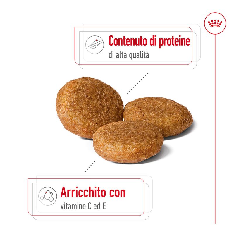 Zooplus Royal Canin Medium Adult Crocchette per cane Discount Store per i nuovi prodotti