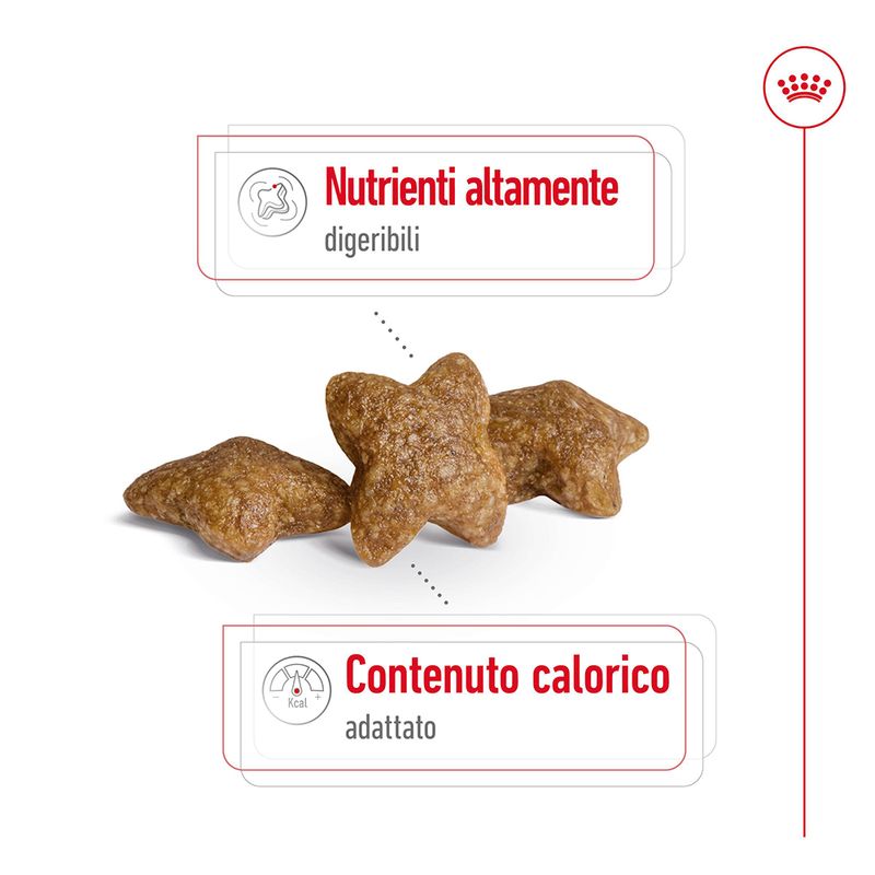 Zooplus Royal Canin Mini Adult Crocchette per cane Economico