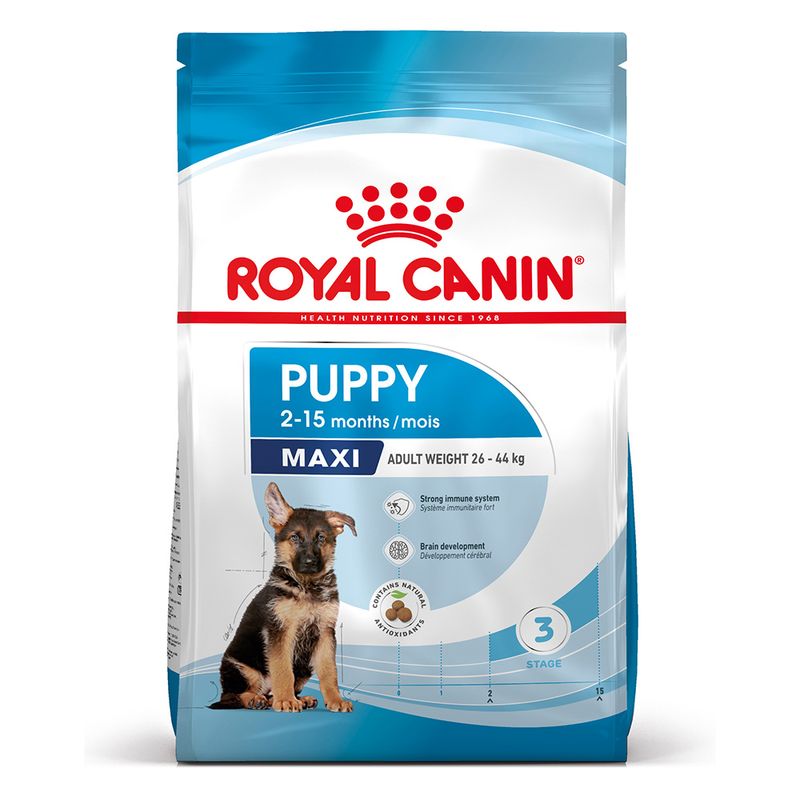 Zooplus Royal Canin Maxi Puppy Crocchette per cane Online