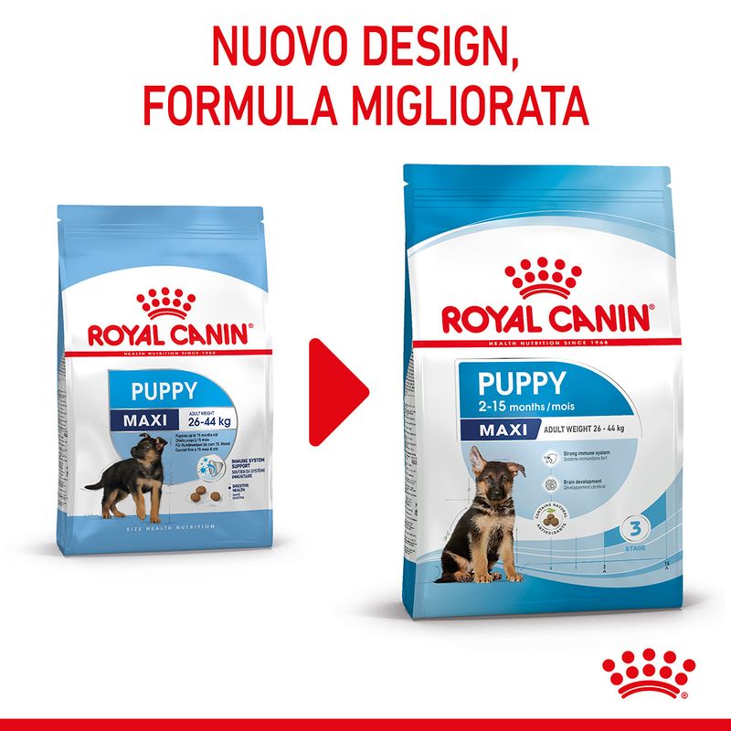 Zooplus Royal Canin Maxi Puppy Crocchette per cane Online