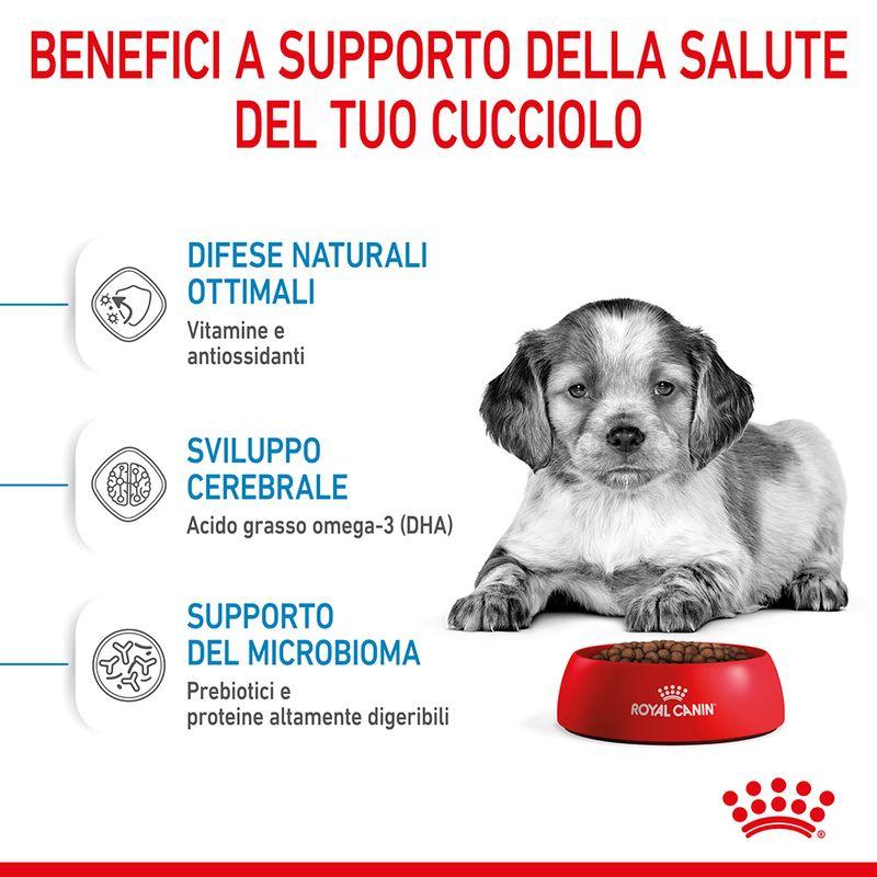 Zooplus Royal Canin Medium Puppy Crocchette per cane In Vendita