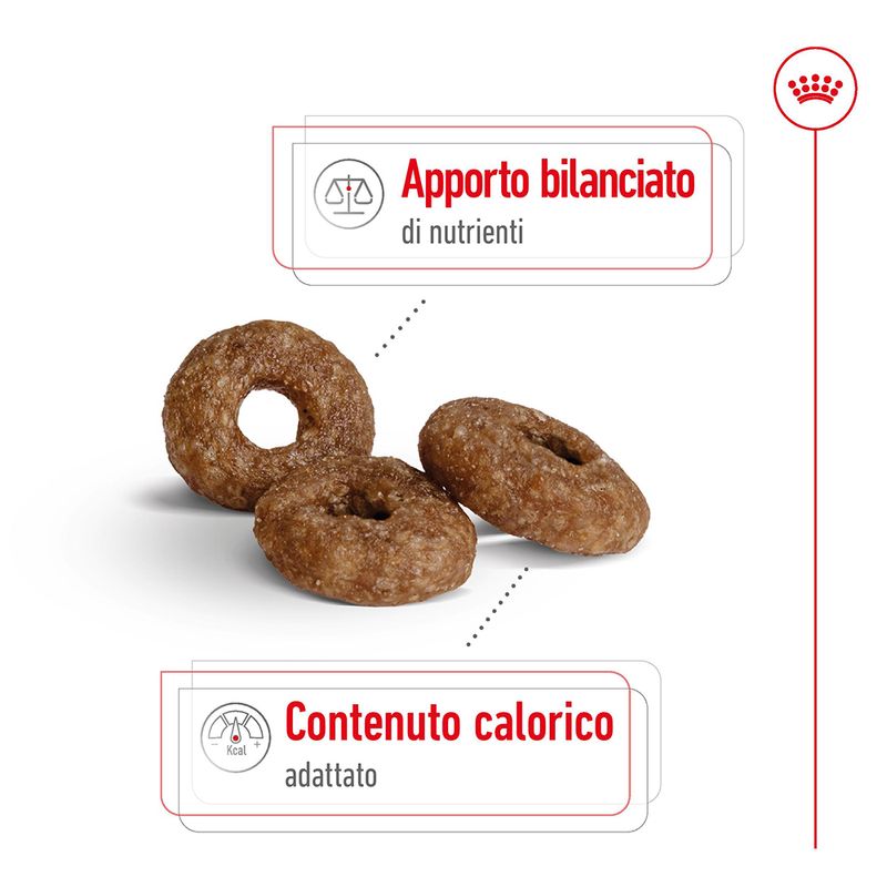 Zooplus Royal Canin Mini Ageing 12+ Crocchette per cane Officina