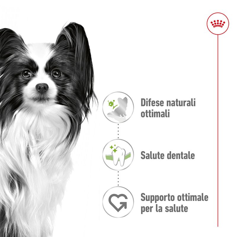 Zooplus Royal Canin X-Small Adult Crocchette per cane Hotsell