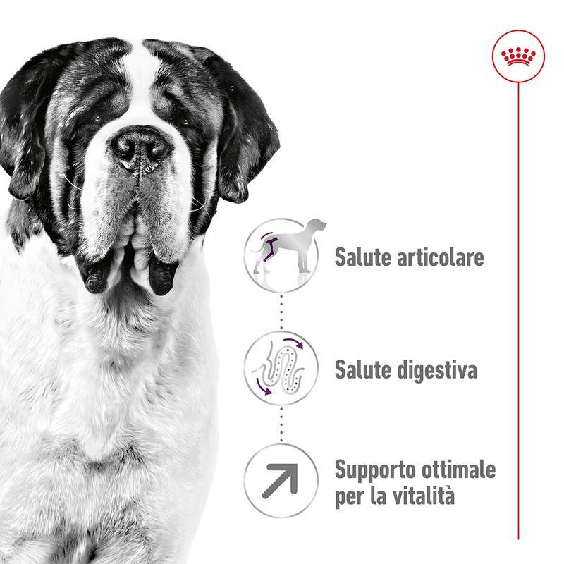 Zooplus Royal Canin Giant Adult Crocchette per cane Vendita Calda