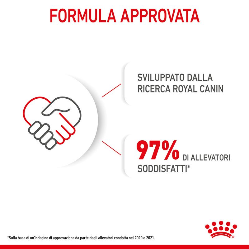 Zooplus Royal Canin Mini Starter Mother & Babydog Crocchette cane Saldi Di Fabbrica