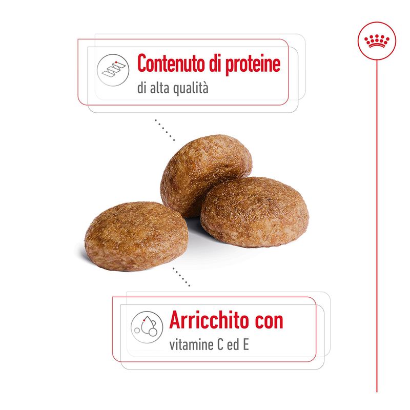 Zooplus Royal Canin Medium Adult 7+ Crocchette per cane I Più Venduti