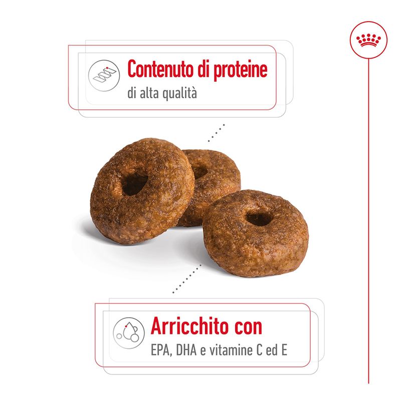 Zooplus Royal Canin Medium Ageing 10+ Crocchette per cane In Saldo