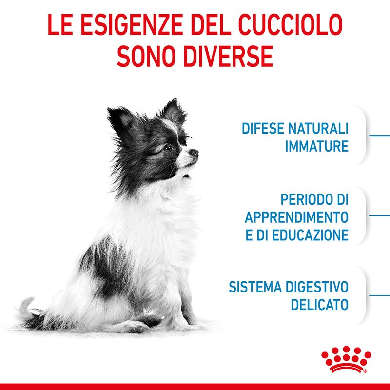 Zooplus Royal Canin X-Small Puppy Crocchette per cane Moda