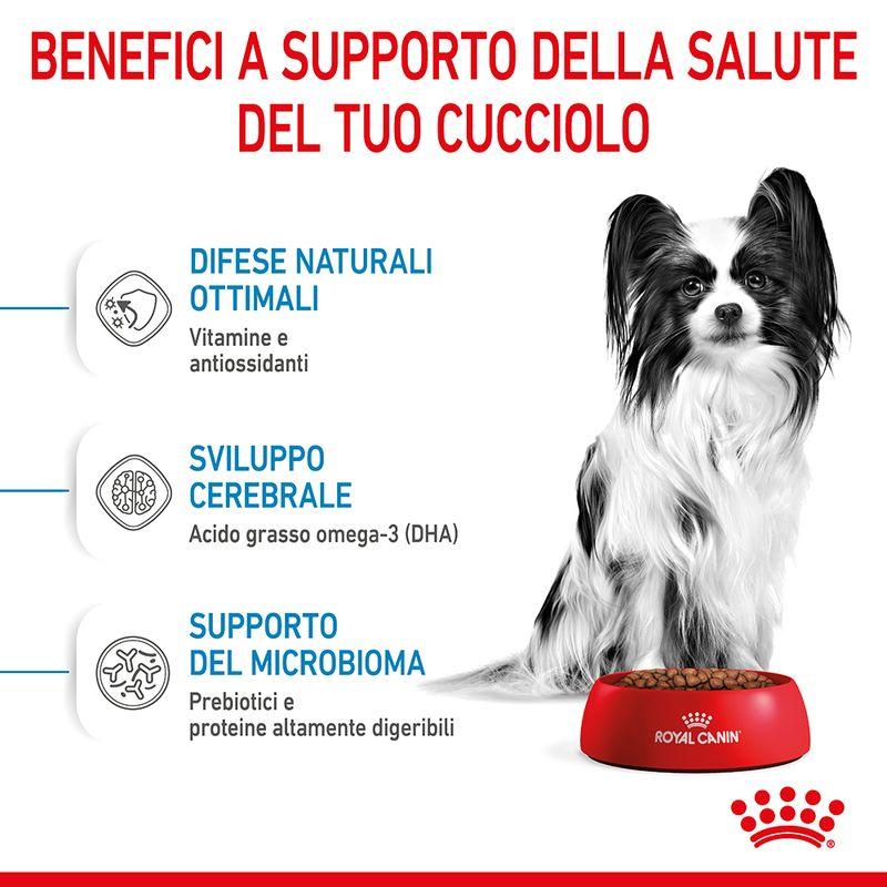 Zooplus Royal Canin X-Small Puppy Crocchette per cane Moda