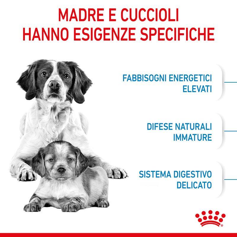 Zooplus Royal Canin Medium Starter Mother & Babydog Crocchette per cane Italy