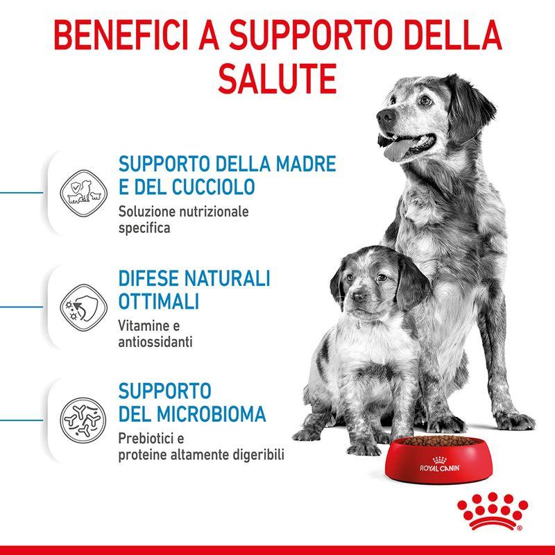Zooplus Royal Canin Medium Starter Mother & Babydog Crocchette per cane Italy