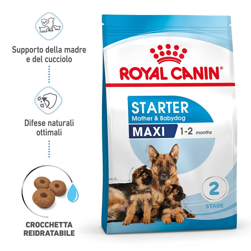 Zooplus Royal Canin Maxi Starter Mother & Babydog Crocchette per cane