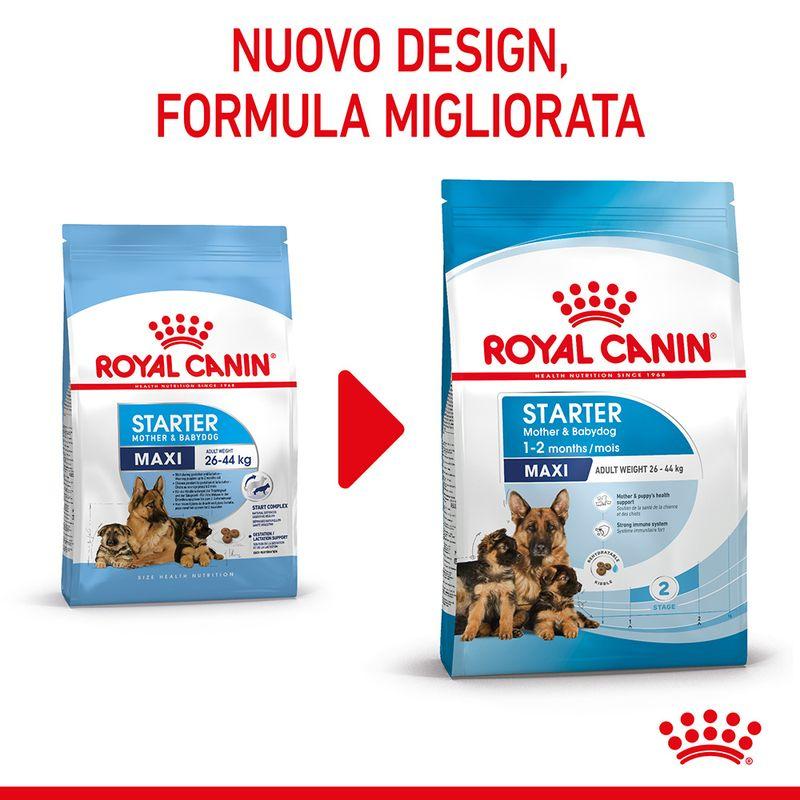 Zooplus Royal Canin Maxi Starter Mother & Babydog Crocchette per cane Italia