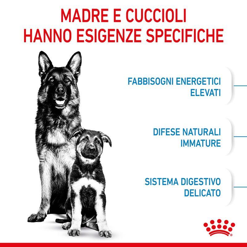 Zooplus Royal Canin Maxi Starter Mother & Babydog Crocchette per cane Italia
