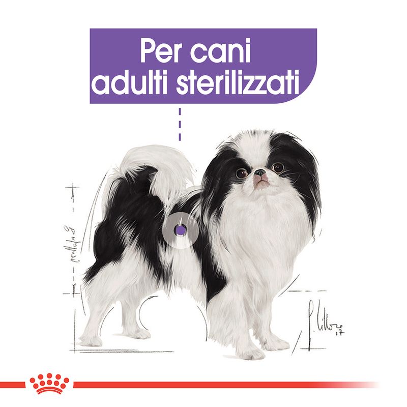 Zooplus Royal Canin X-Small Sterilised Crocchette per cane 2025