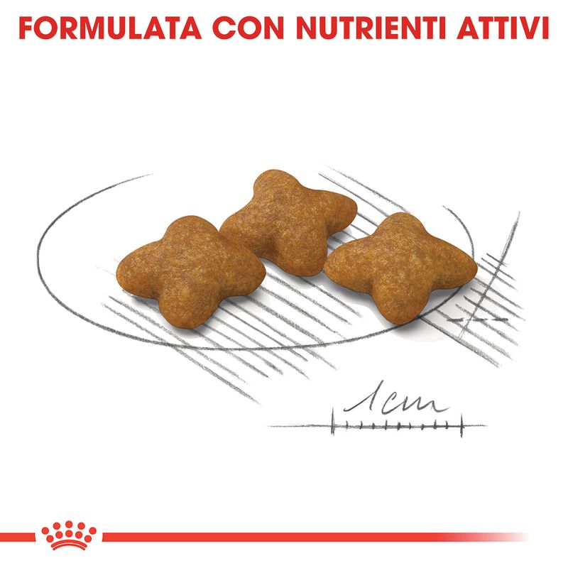 Zooplus Royal Canin X-Small Sterilised Crocchette per cane 2025