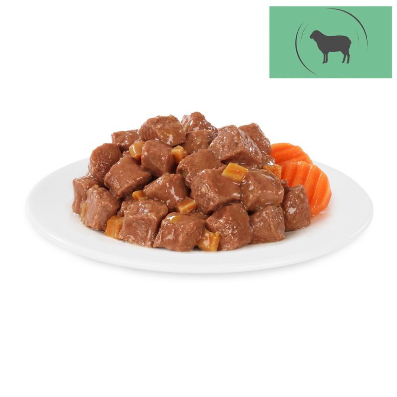 Zooplus Briantos Chunks in Gravy 6 x 415 g Umido per cane Acquista Ora
