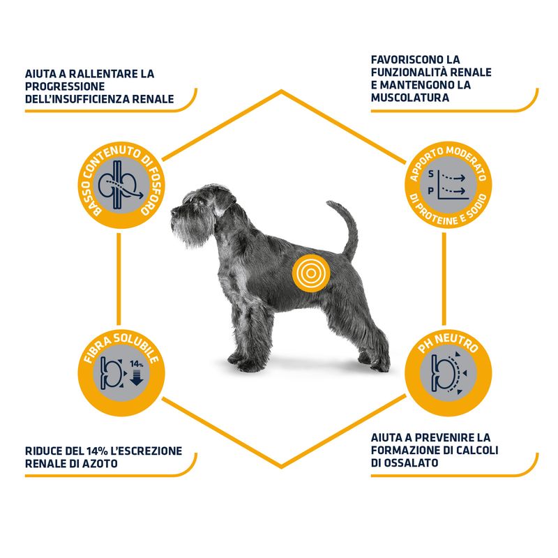 Zooplus Advance Veterinary Diets Renal Nuova