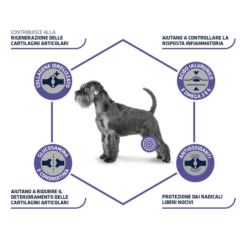 Zooplus Advance Veterinary Diets Articular Care In Linea