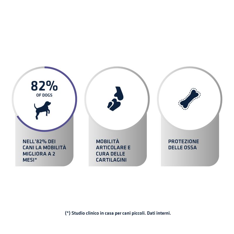 Zooplus Advance Veterinary Diets Articular Care In Linea