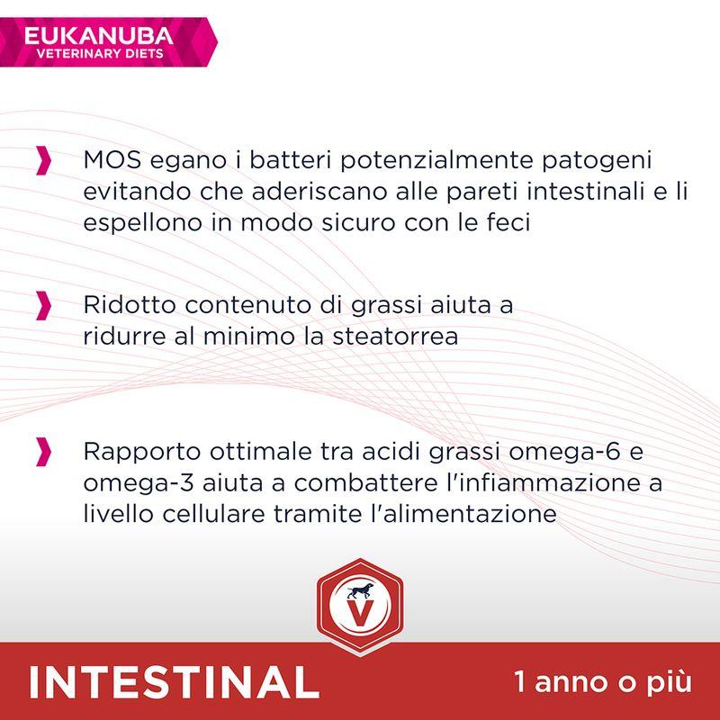 Zooplus Eukanuba Veterinary Diets Adult Intestinal Crocchette per cani Qualità
