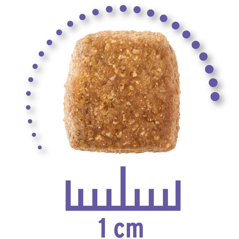 Zooplus Concept for Life Veterinary Diet Renal Crocchette per cane Fino Al -60%