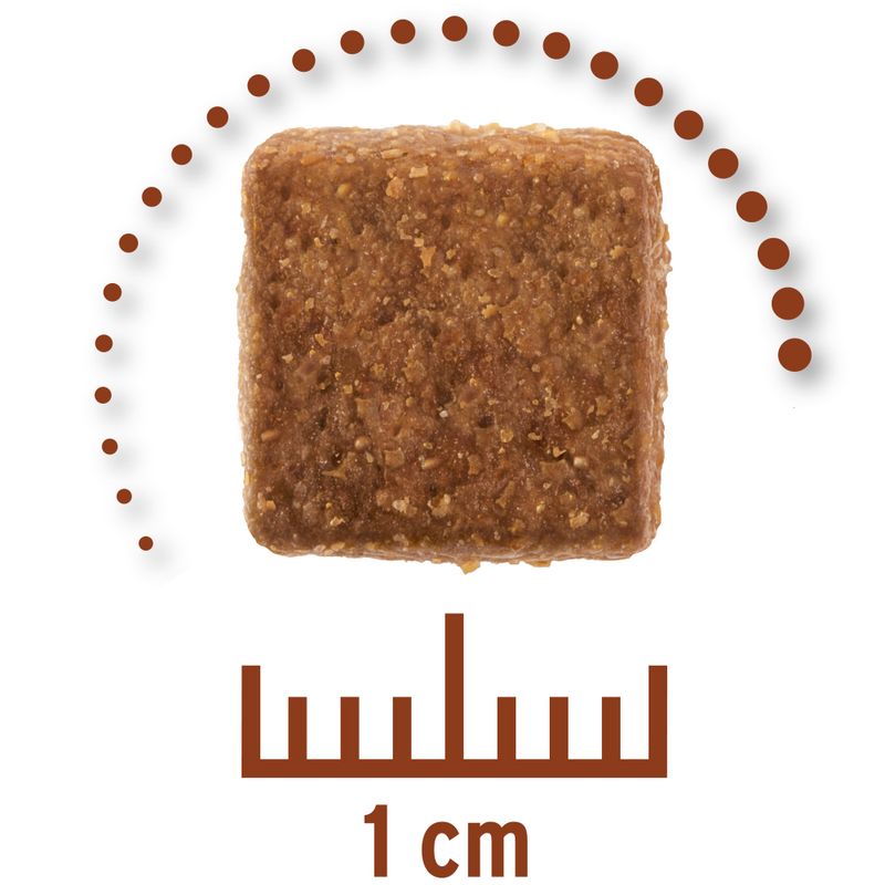 Zooplus Concept for Life Veterinary Diet Gastro Intestinal Crocchette per cane Shopping Online