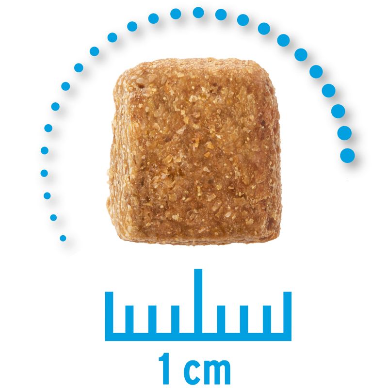 Zooplus Concept for Life Veterinary Diet Weight Control Crocchette per cane Novità