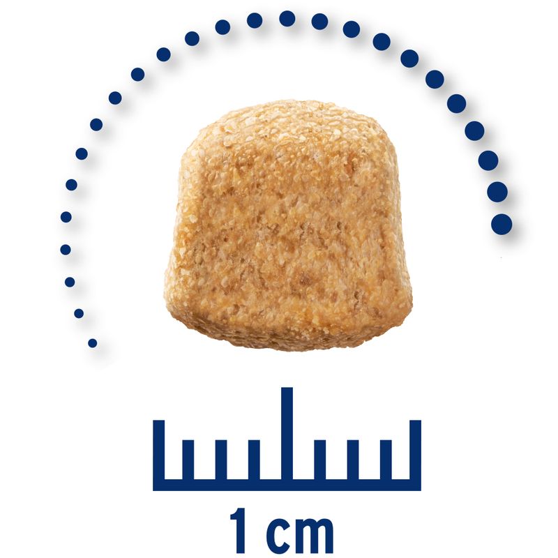 Zooplus Concept for Life Veterinary Diet Mobility Crocchette per cane Sconto