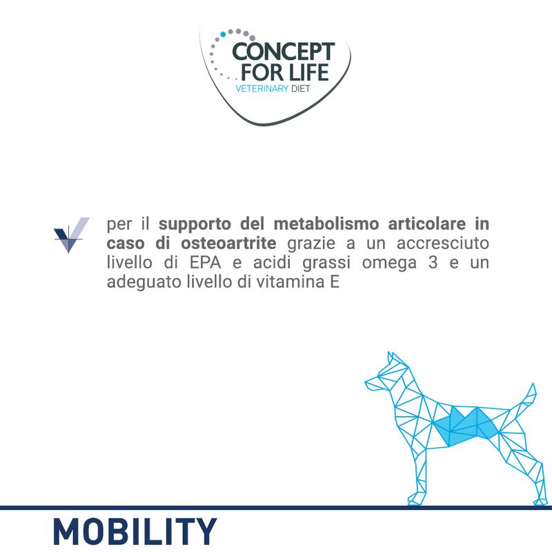 Zooplus Concept for Life Veterinary Diet Mobility Alimento umido per cani Offerta