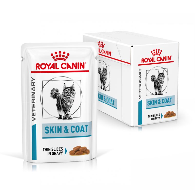 Zooplus Royal Canin Skin & Coat Feline Veterinary umido gatto Promozione Limitata