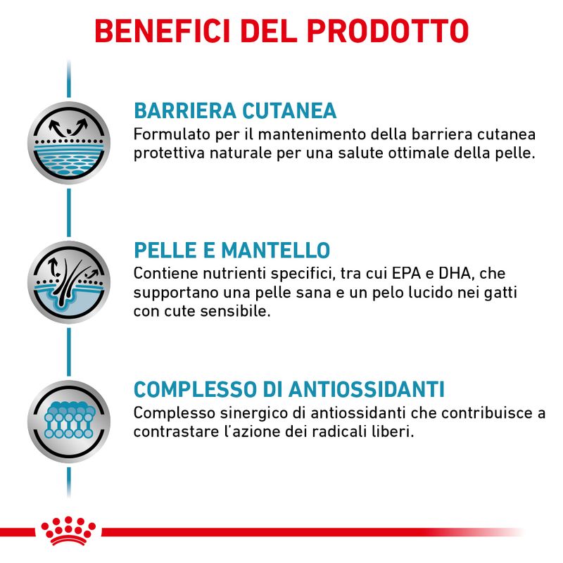 Zooplus Royal Canin Skin & Coat Feline Veterinary umido gatto Promozione Limitata