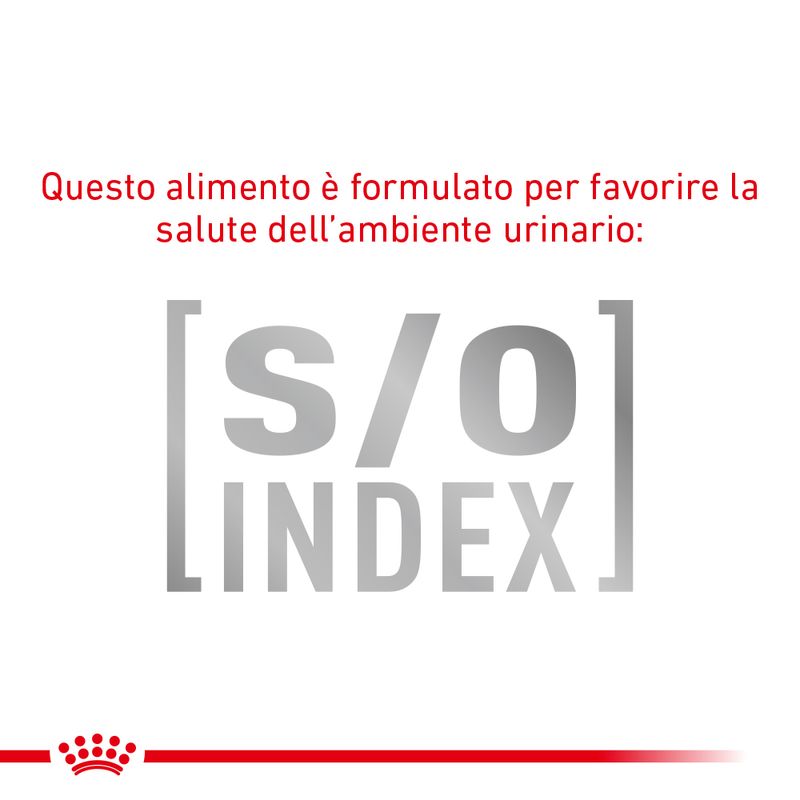 Zooplus Royal Canin Skin & Coat Feline Veterinary umido gatto Promozione Limitata