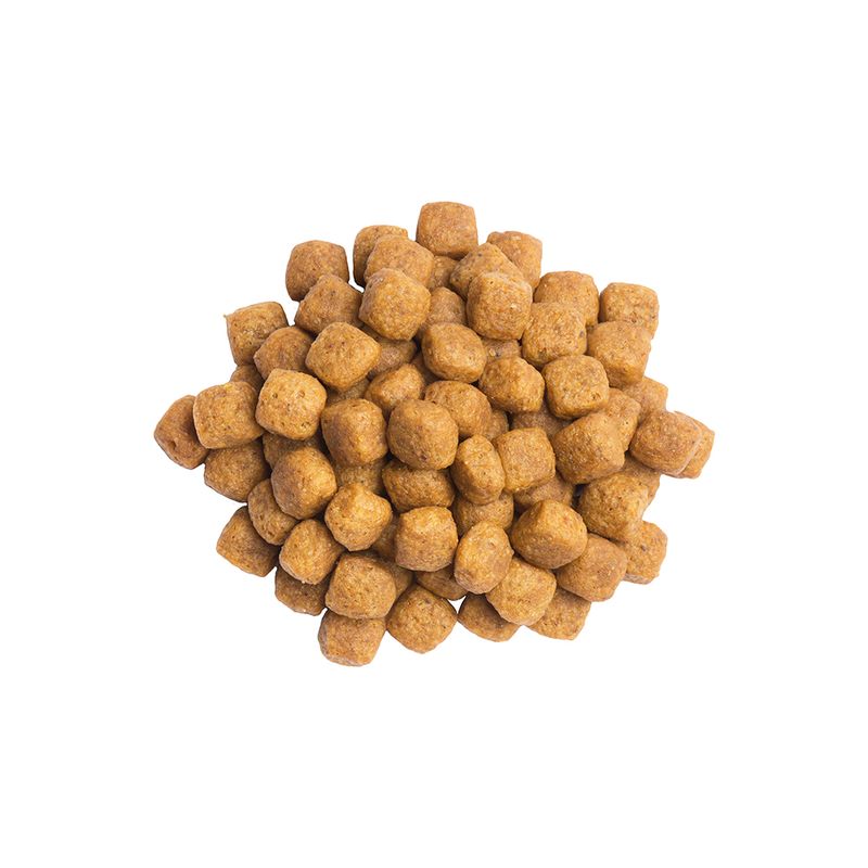Zooplus PURINA PRO PLAN Veterinary Diets UR ST/OX Urinary Pesce dell'Oceano Negozio