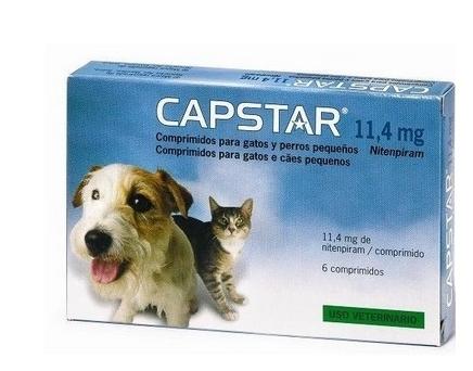 Miscota Elanco Capstar 11 4 mg per Gatti e Piccoli Cani