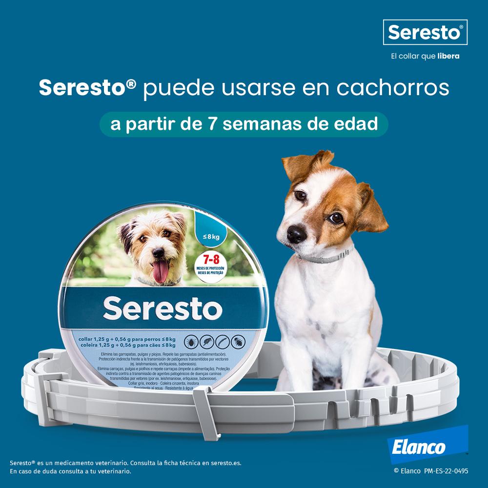Miscota Seresto Collare Antiparassitario per Cani <8 Kg Hotsell
